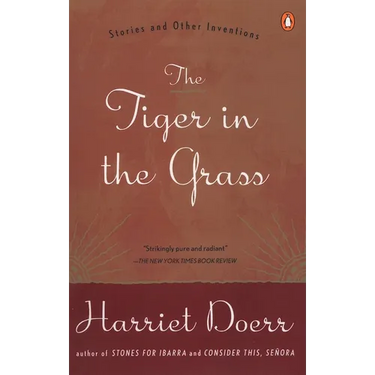 The Tiger in the Grass: Stories and Other Inventions