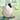 The Ugly Duckling