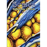 SCALES - Formations of Pitch