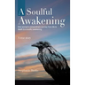A Soulful Awakening: One Woman's Extraordinary Journey From Life to Death to a Soulful Awakening