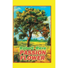 Passion Flower