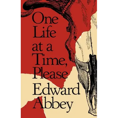 One Life at a Time, Please