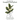 Crazy Plant Guy Houseplant Coloring Book