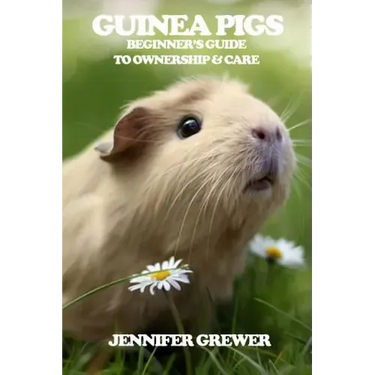 Guinea Pigs: Beginner's Guide to Ownership & Care