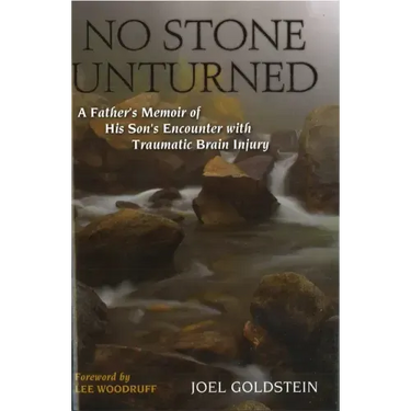 No Stone Unturned: A Father's Memoir of His Son's Encounter with Traumatic Brain Injury