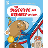 The Digestive and Urinary Systems
