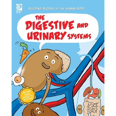 The Digestive and Urinary Systems