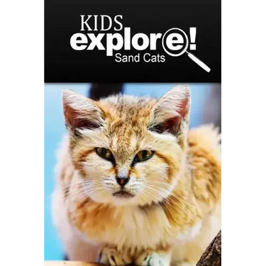 Sand Cats - Kids Explore: Animal books nonfiction - books ages 5-6