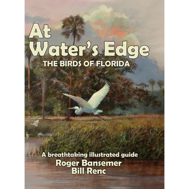 At Water's Edge: The Birds of Florida