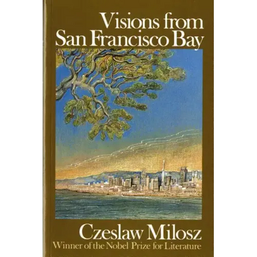 Visions from San Francisco Bay
