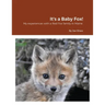 It's a Baby Fox!