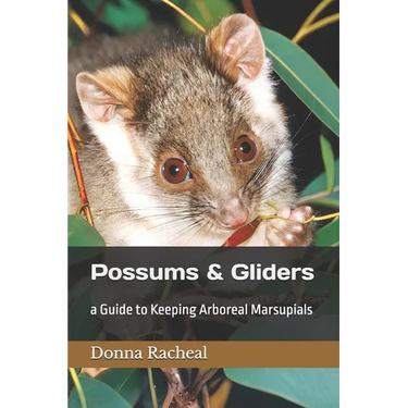 Possums & Gliders: a Guide to Keeping Arboreal Marsupials