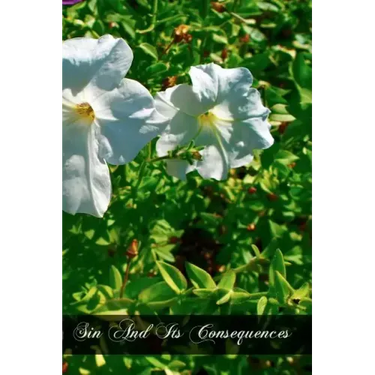 Sin And Its Consequences