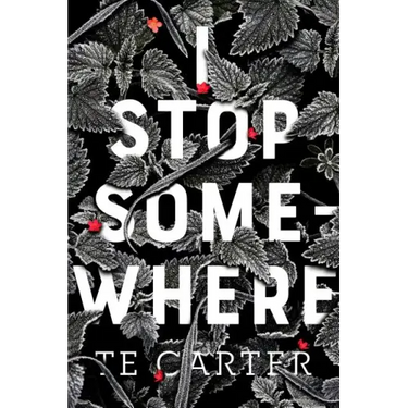 I Stop Somewhere