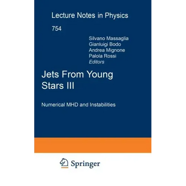 Jets from Young Stars III: Numerical Mhd and Instabilities