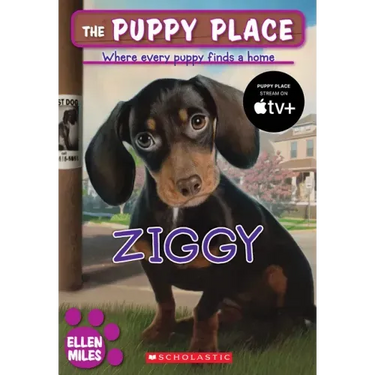 Ziggy (the Puppy Place #21)