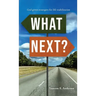 What Next?: God-Given Strategies for Life Stabilization
