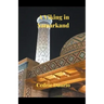 A Viking in Samarkand