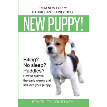New Puppy!: From New Puppy to Brilliant Family Dog!