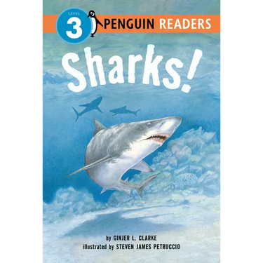Sharks!