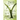 Song of the Split Elm