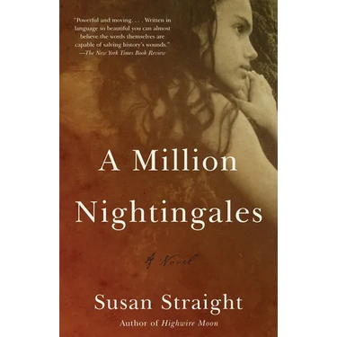 A Million Nightingales