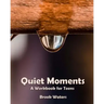 Quiet Moments: A Workbook for Teenage Depression and Anxiety