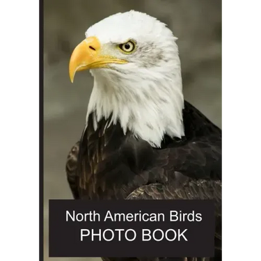 North American Birds Photo Book: 40 Different Bird Photos With Identification Names For Alzheimer & Dementia Patients To Help With Memories and Memory