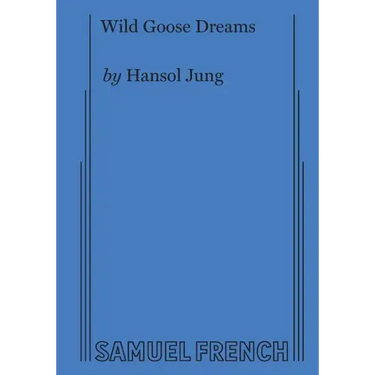 Wild Goose Dreams