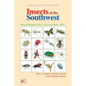 Insects of the Southwest: How to Identify Helpful, Harmful, and Venomous Insects