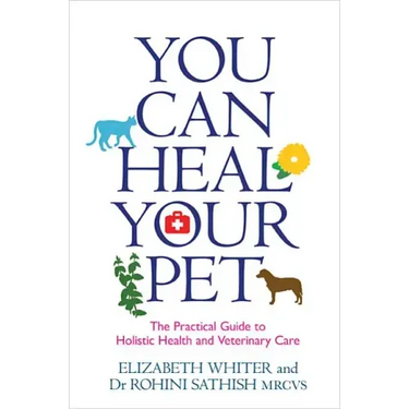 You Can Heal Your Pet