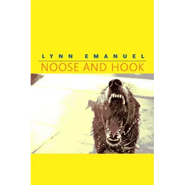 Noose and Hook