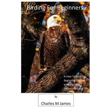 Birding for Beginners