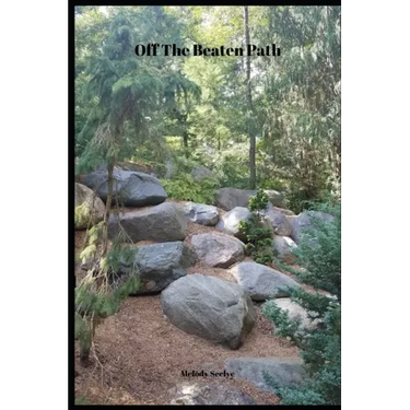 Off The Beaten Path: 4 year Blood Glucose Tracker