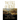 The Fall of Rome: A Novel of a World Lost