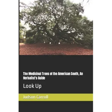 The Medicinal Trees of the American South, An Herbalist's Guide: Look Up