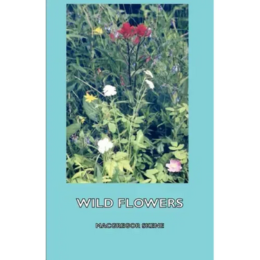 Wild Flowers