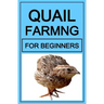 Quail Farming For Beginners