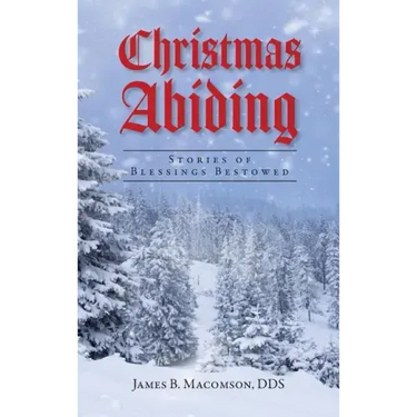 Christmas Abiding: Stories of Blessings Bestowed