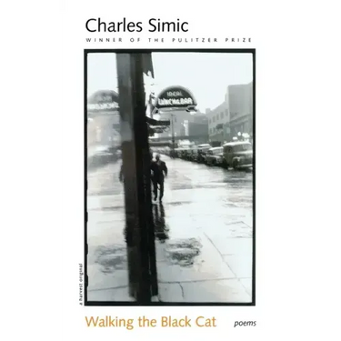Walking the Black Cat