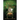 Upon This Throne