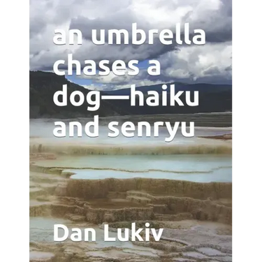 An umbrella chases a dog-haiku and senryu