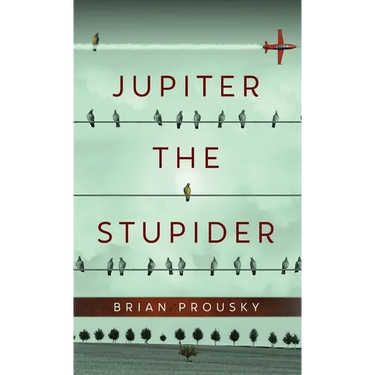 Jupiter the Stupider