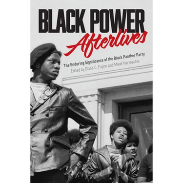 Black Power Afterlives: The Enduring Significance of the Black Panther Party