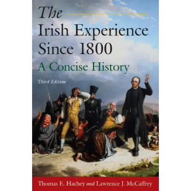 The Irish Experience Since 1800: A Concise History: A Concise History
