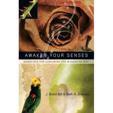 Awaken Your Senses: Exercises for Exploring the Wonder of God