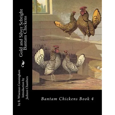 Gold and Silver Sebright Bantam Chickens