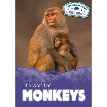 The World of Monkeys