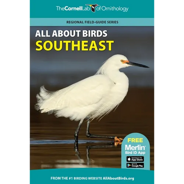 All about Birds Southeast