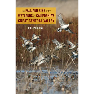 The Fall and Rise of the Wetlands of California's Great Central Valley